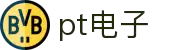 pt电子(中国)官方网站-ptgames